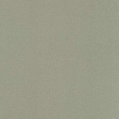 פיויסי PVC תעשייתי אנטיסטטי/צבע אפור נטורל פסיפס : image 1