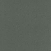 פיויסי PVC תעשייתי אנטיסטטי/צבע אפור עכבר פסיפס