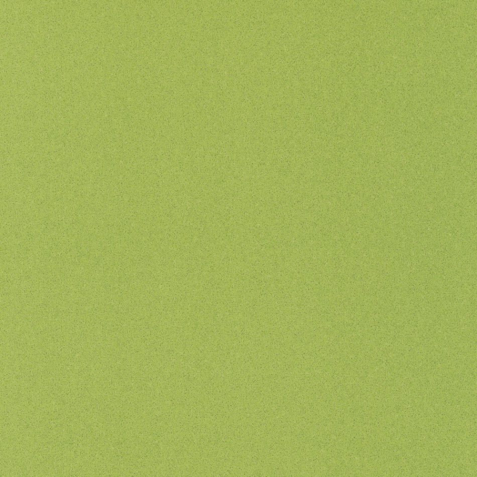 פיויסי PVC תעשייתי אנטיסטטי/ירוק פסיפס