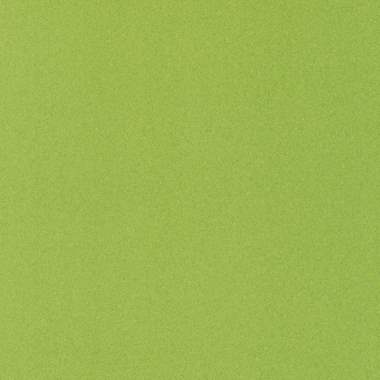 פיויסי PVC תעשייתי אנטיסטטי/ירוק פסיפס : image 1 פיויסי PVC תעשייתי אנטיסטטי/ירוק פסיפס : image 1