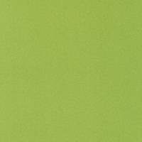 פיויסי PVC תעשייתי אנטיסטטי/ירוק פסיפס