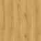 פרקט קוויק סטפ CLM צבע 5787 Light classic oak אלון קלאסי בהיר   : Thumb 2