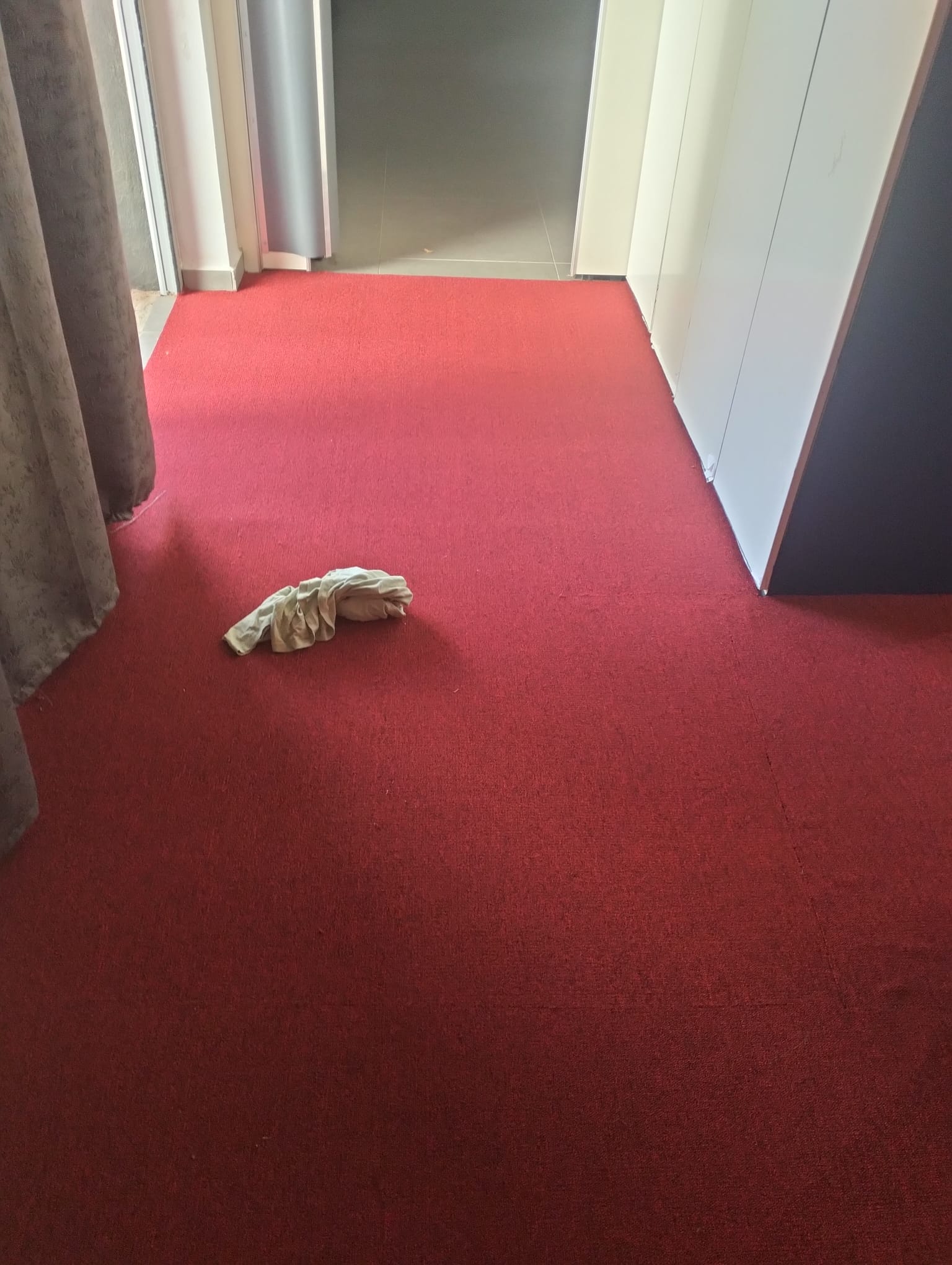 שטיח מקיר לקיר לולאות בורדו (רוחב גליל 3.66 מטר) 