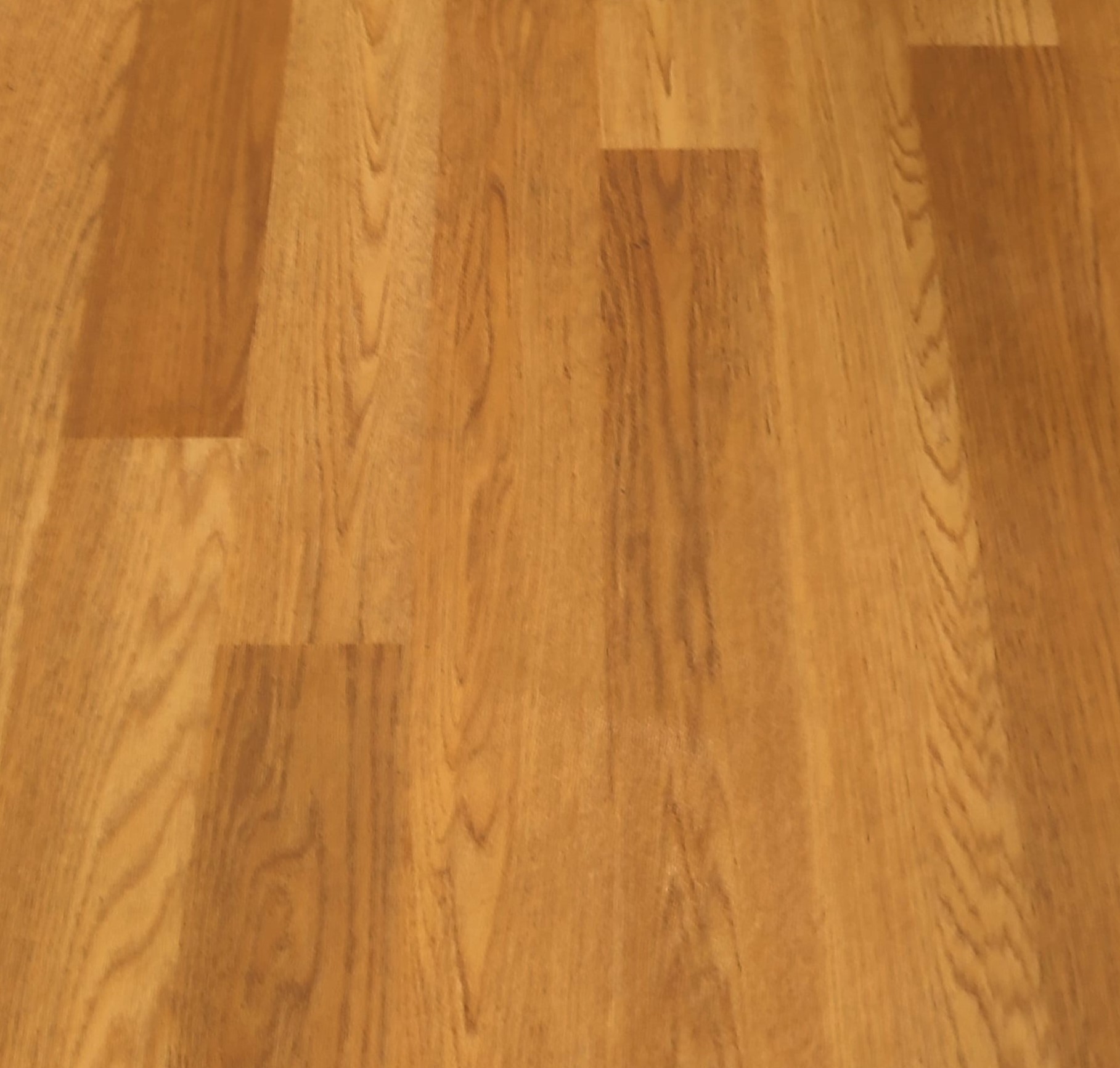 PVC לאולמות ספורט 